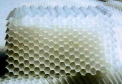 乙丙共聚蜂窝斜管